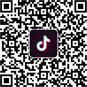 抖音小程序
